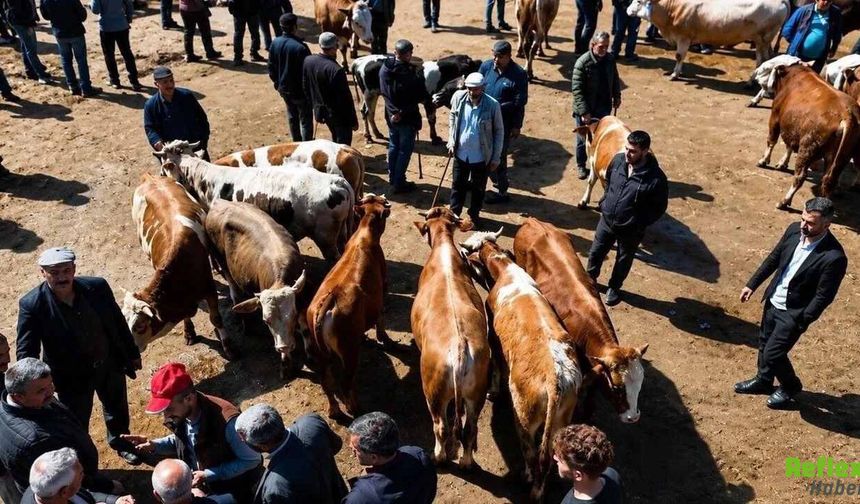 Kurban Pazarında Silahlar Konuştu: 3 Kişi Yaralandı