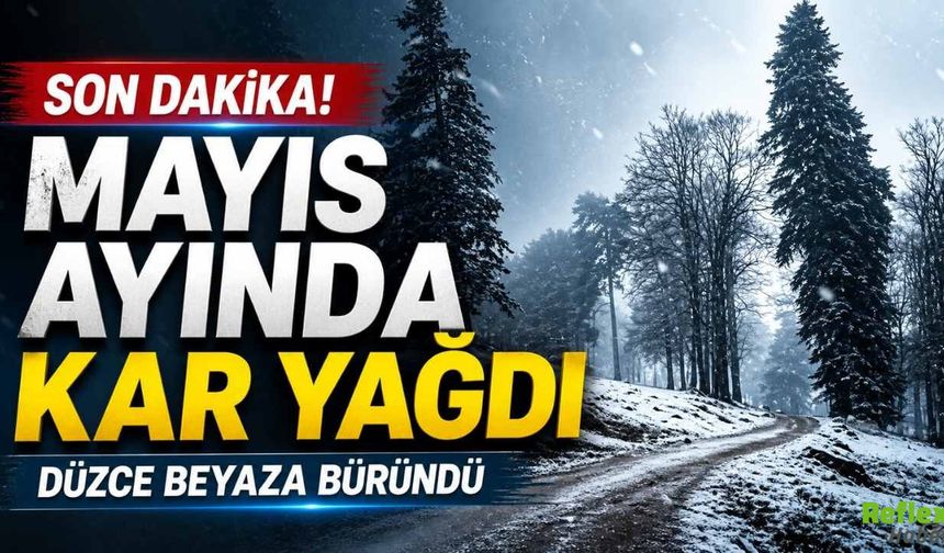 Mayıs Ayında Kar Yağdı, Düzce Beyaza Büründü