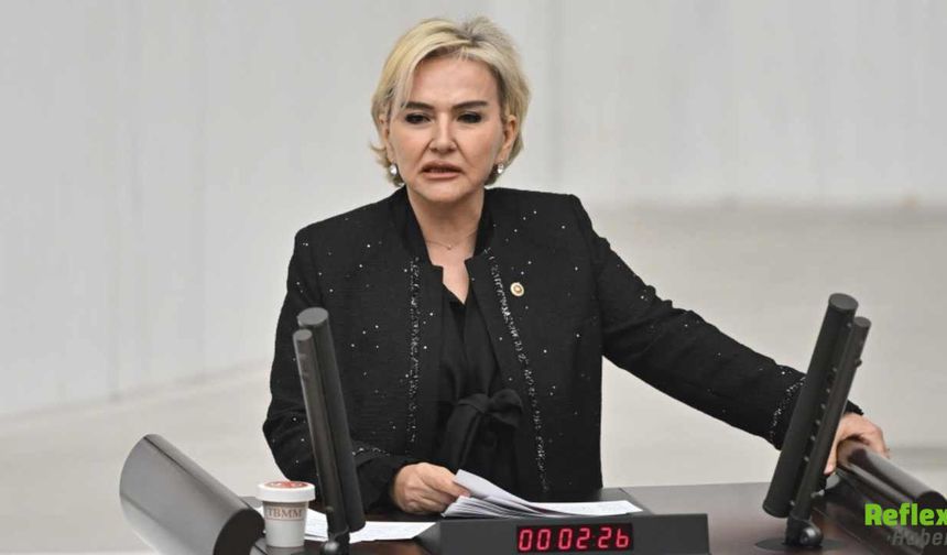 Nimet Özdemir Neden İstifa Etti?