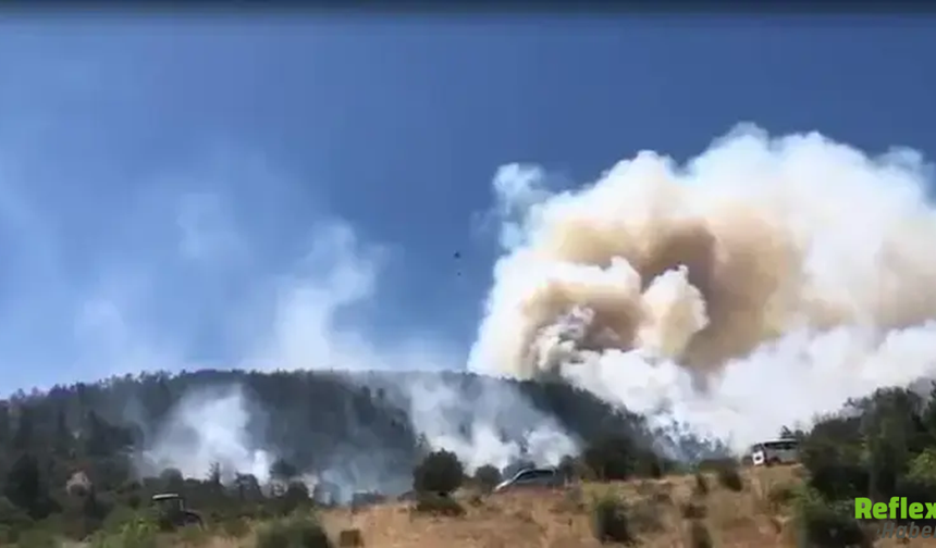 Balıkesir'de Korkutan Orman Yangını! Rüzgar Alevleri Kontrolsüz Büyüttü