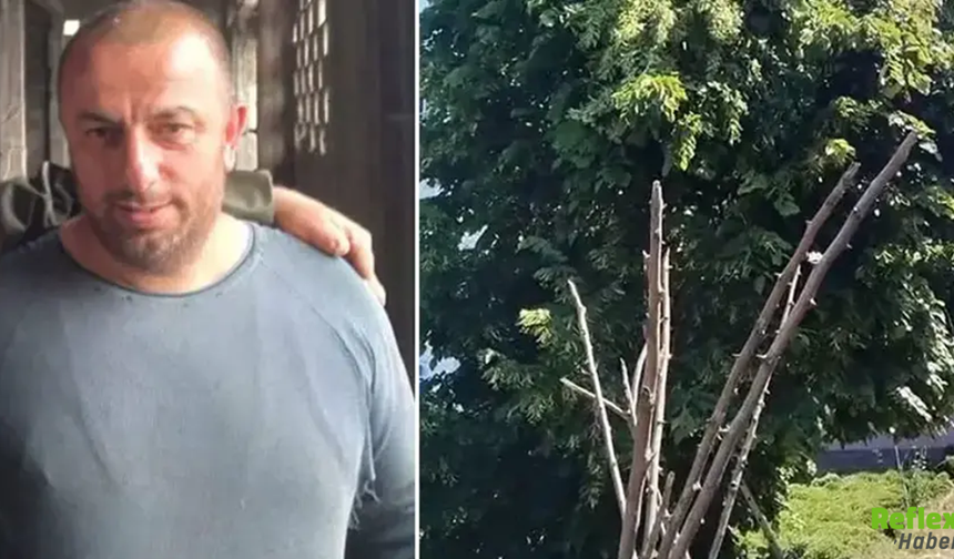 Rize'de Feci Olay! Ağaçta Elektrik Akımına Kapılan Adam Yaşamını Yitirdi