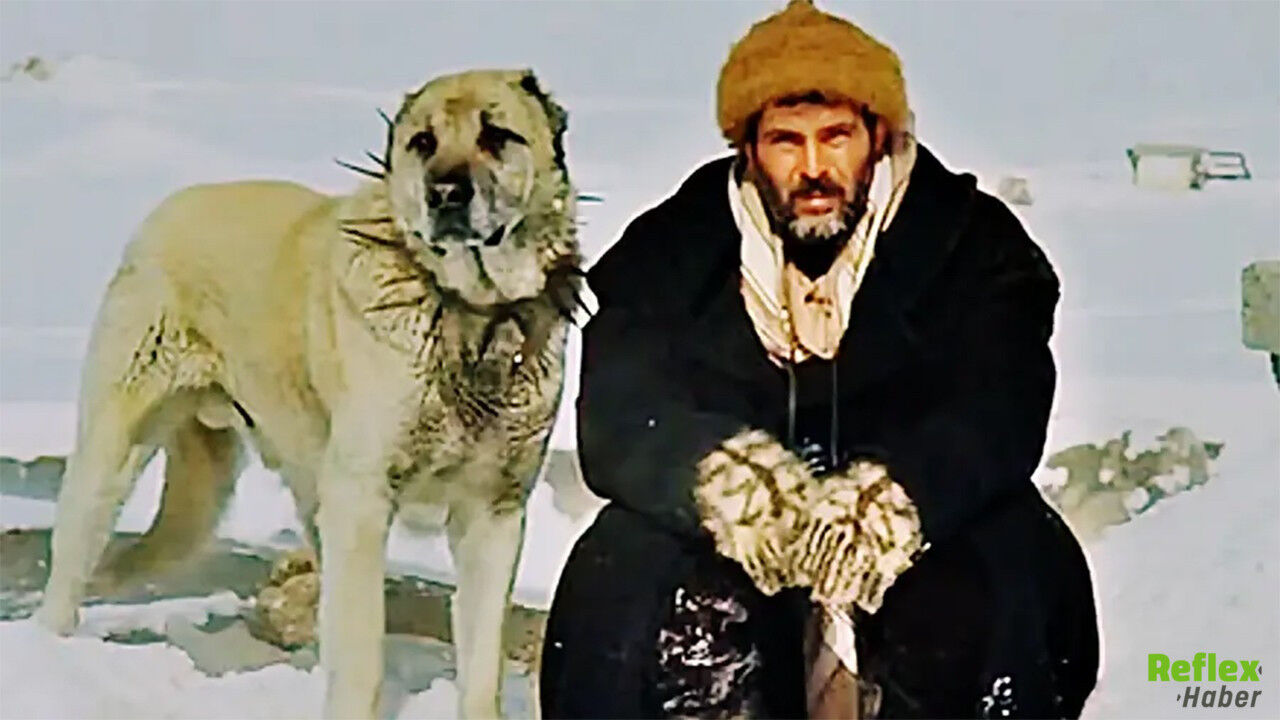 Derman Filmi Nerede Çekilmiştir Hangi Il, Ilçe Ve Köyde Geçiyor 2