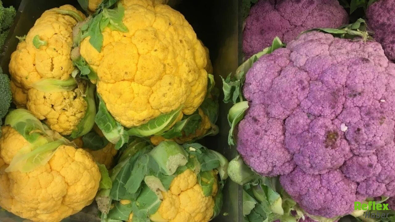 Adsız Tasarım (13)