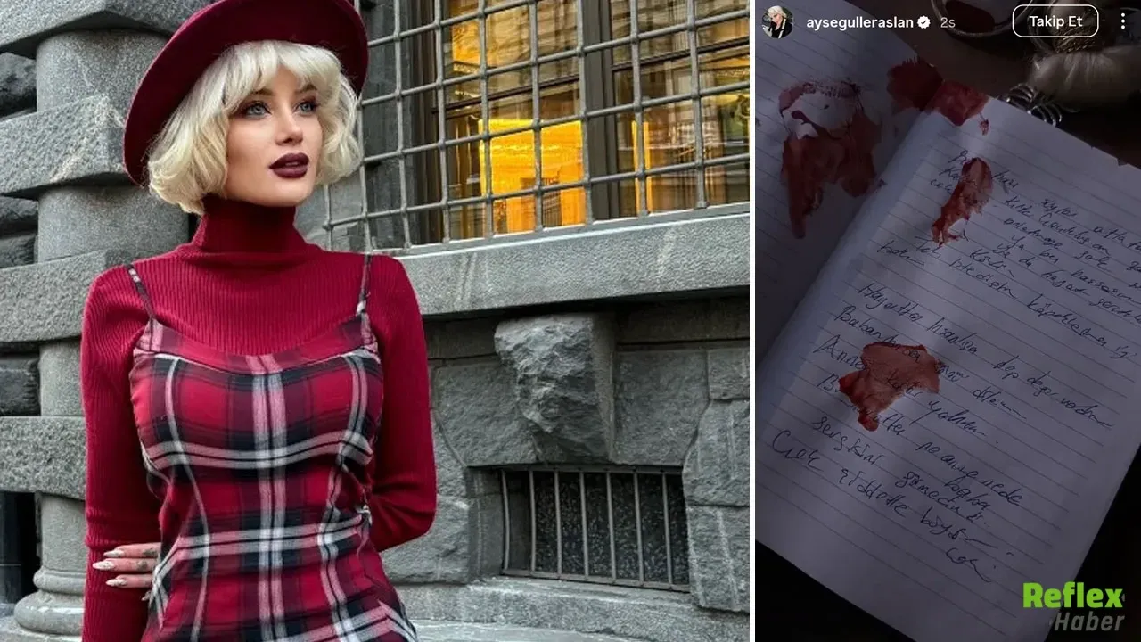 Ayşegül Eraslan Kimdir 2