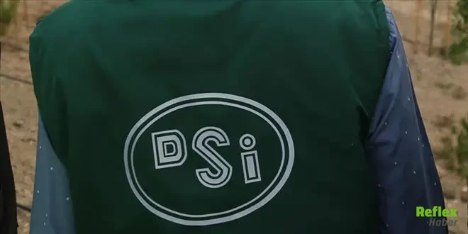 Dsi 2