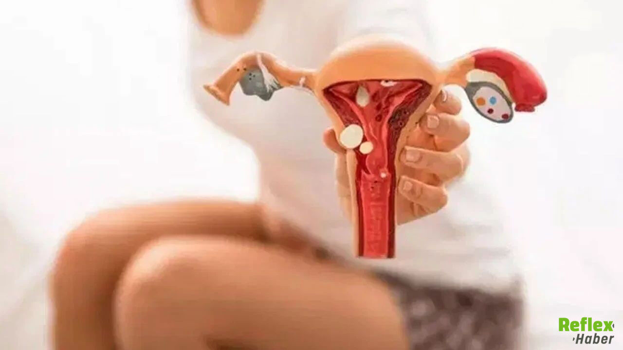 Erken Menopoz Riskine Karşı Östrojeni Destekleyen Doğal Besinler-1