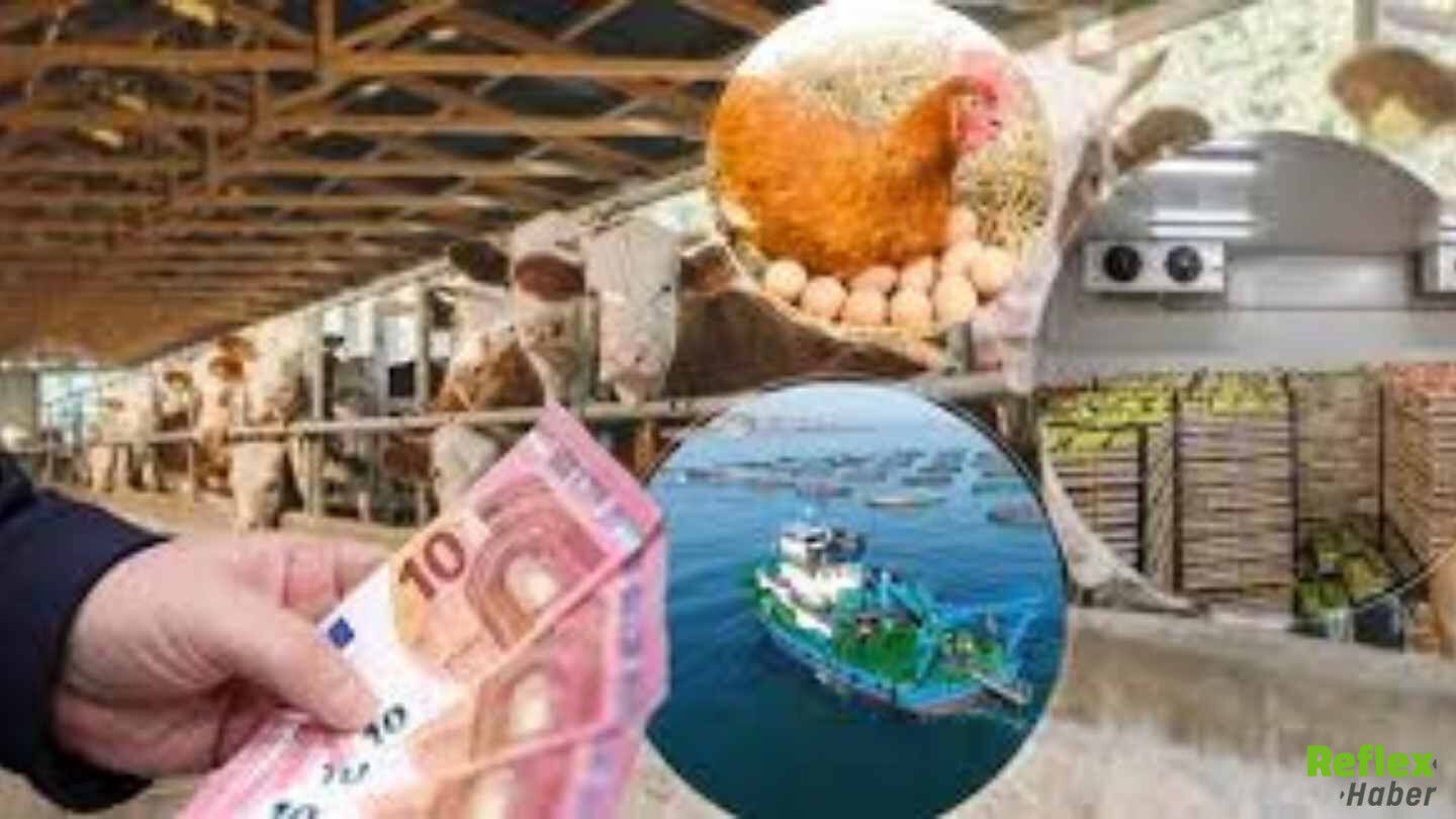 Ipard Iii Programı İle 241 Milyon Euro Hibe Desteği Verilecek-1