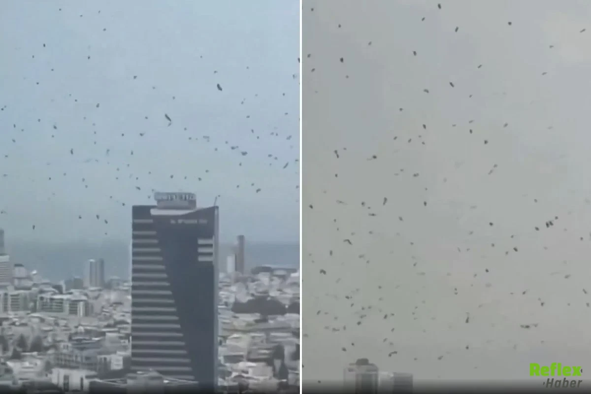 Israil Karga Istilası Gerçek Mi 1