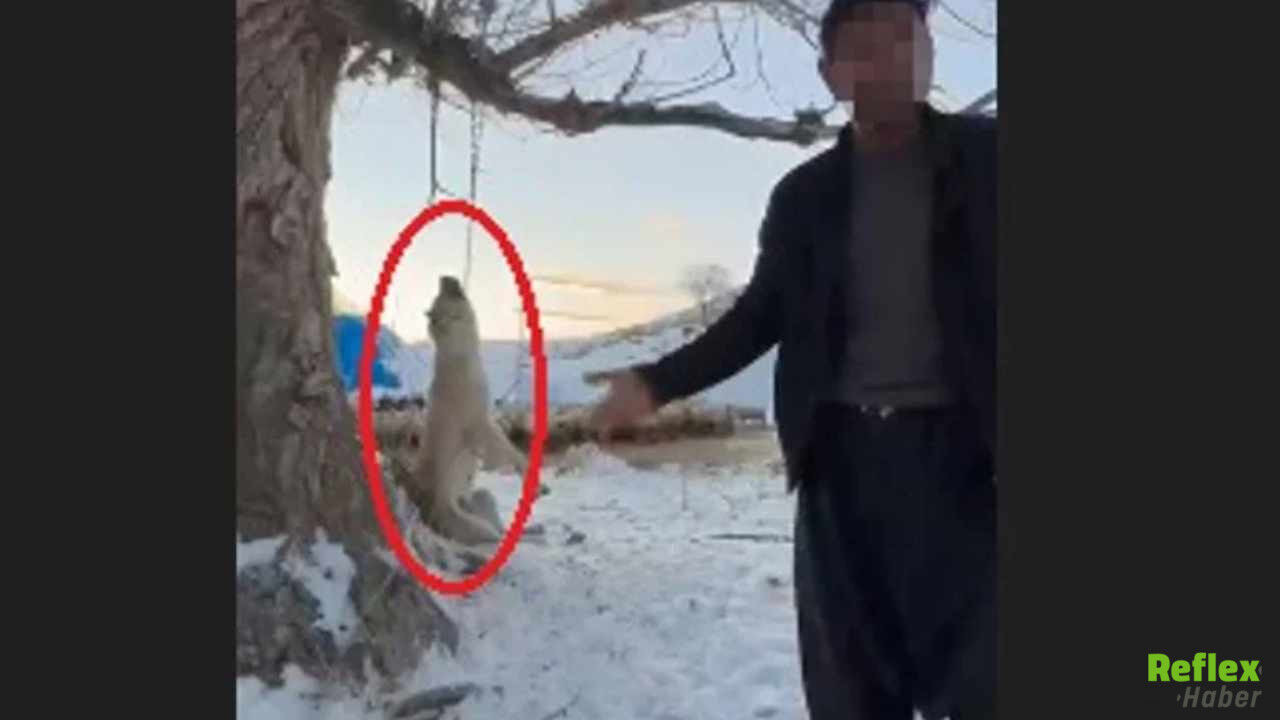 Kayseri’de Dehşet-1