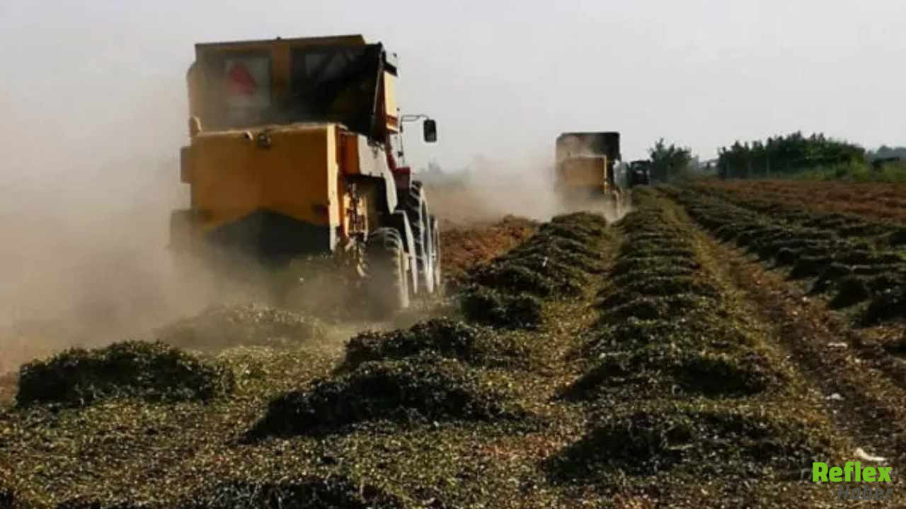 Mazot Ve Gübre Desteğinde Belirsizlik Çiftçi Ödeme Tarihine Kilitlendi