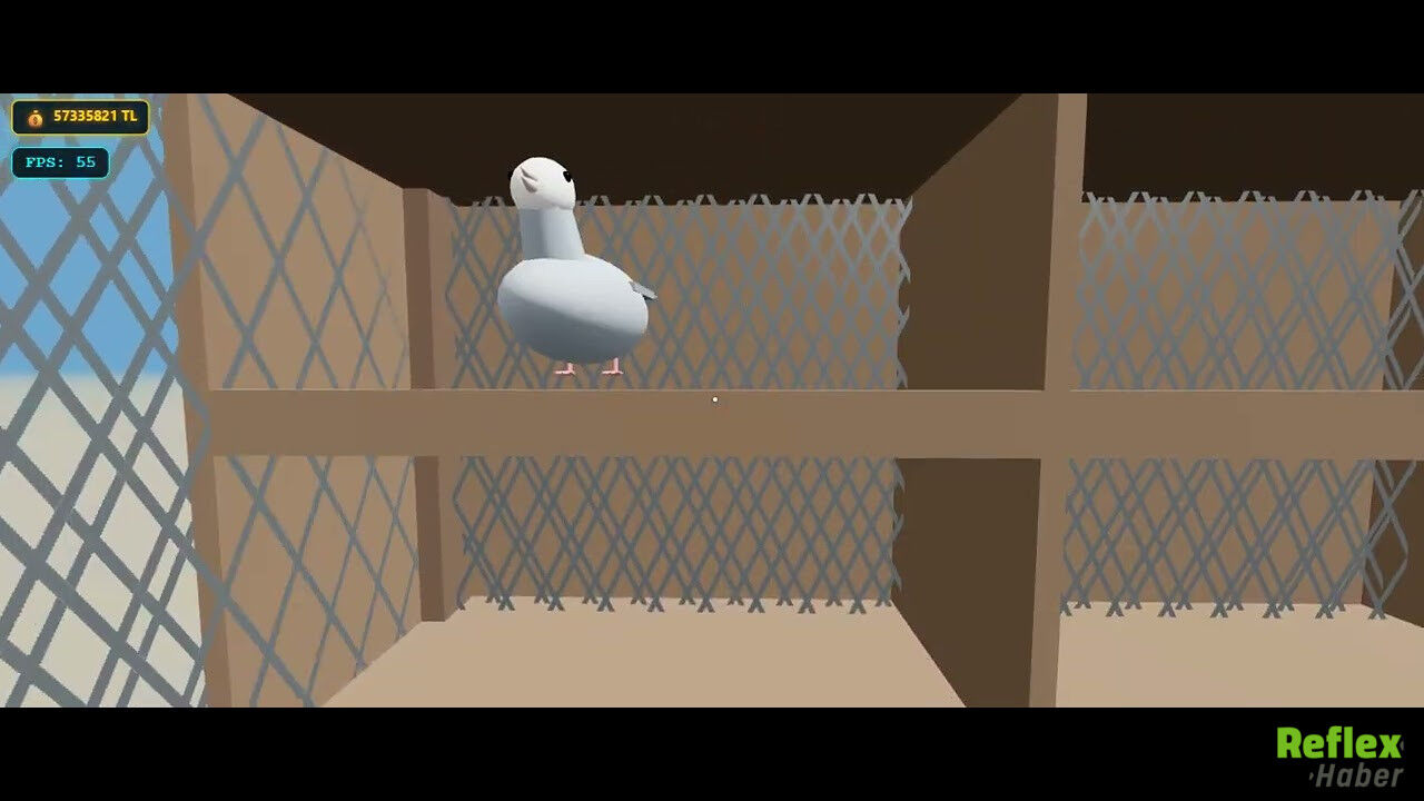 Güvercin Kümesi 3D Apk Indir Nereden Indirilir 2