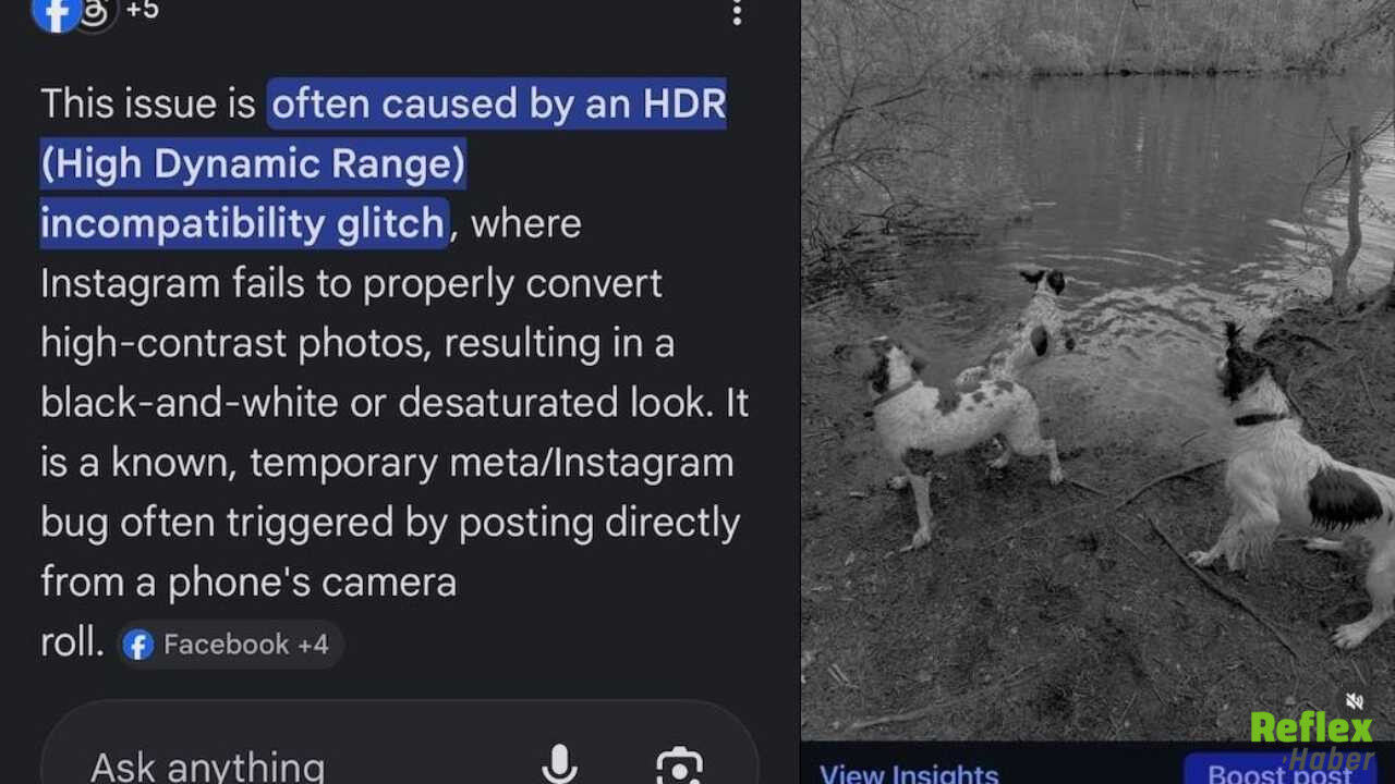 Instagram’da Siyah Beyaz Fotoğraf Hatası-1