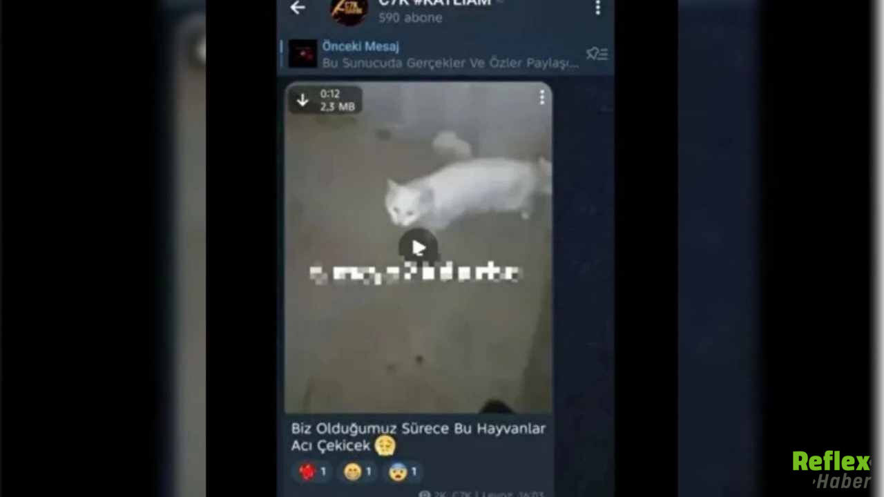 İşte Saldırganların Yuvası Telegram’daki C31K Grubuna Operasyon5 (2)