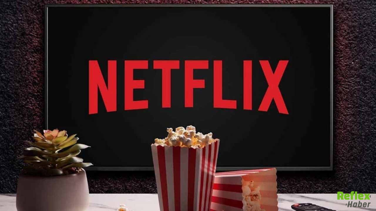 Netflix Playground Nedir