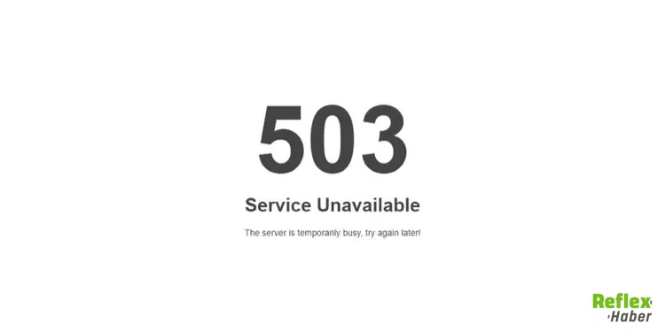 Nok 503 Hatası Nedir Nasıl Çözülür 2026 1