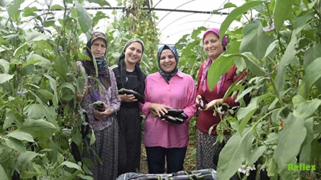 Sıcakta Durmadan Üreten Üç Kuşak Kadın-2