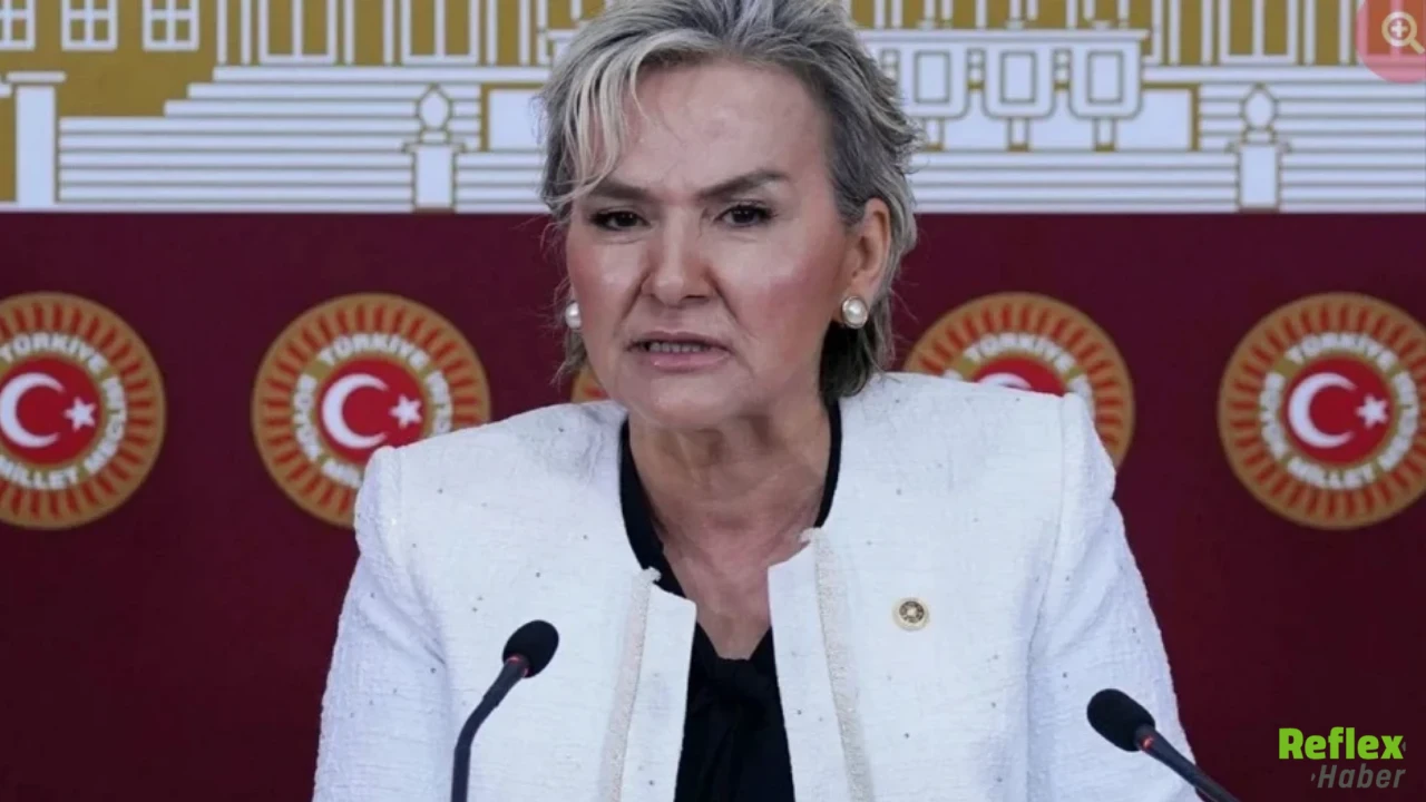 Istanbul Milletvekili Nimet Özdemir Kimdir