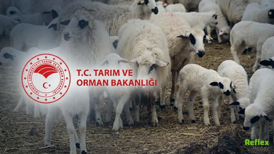 Kırsalda Bereket Küçükbaşa Destek Projesi Başvuru Sonuçları Nasıl Sorgulanır (2)