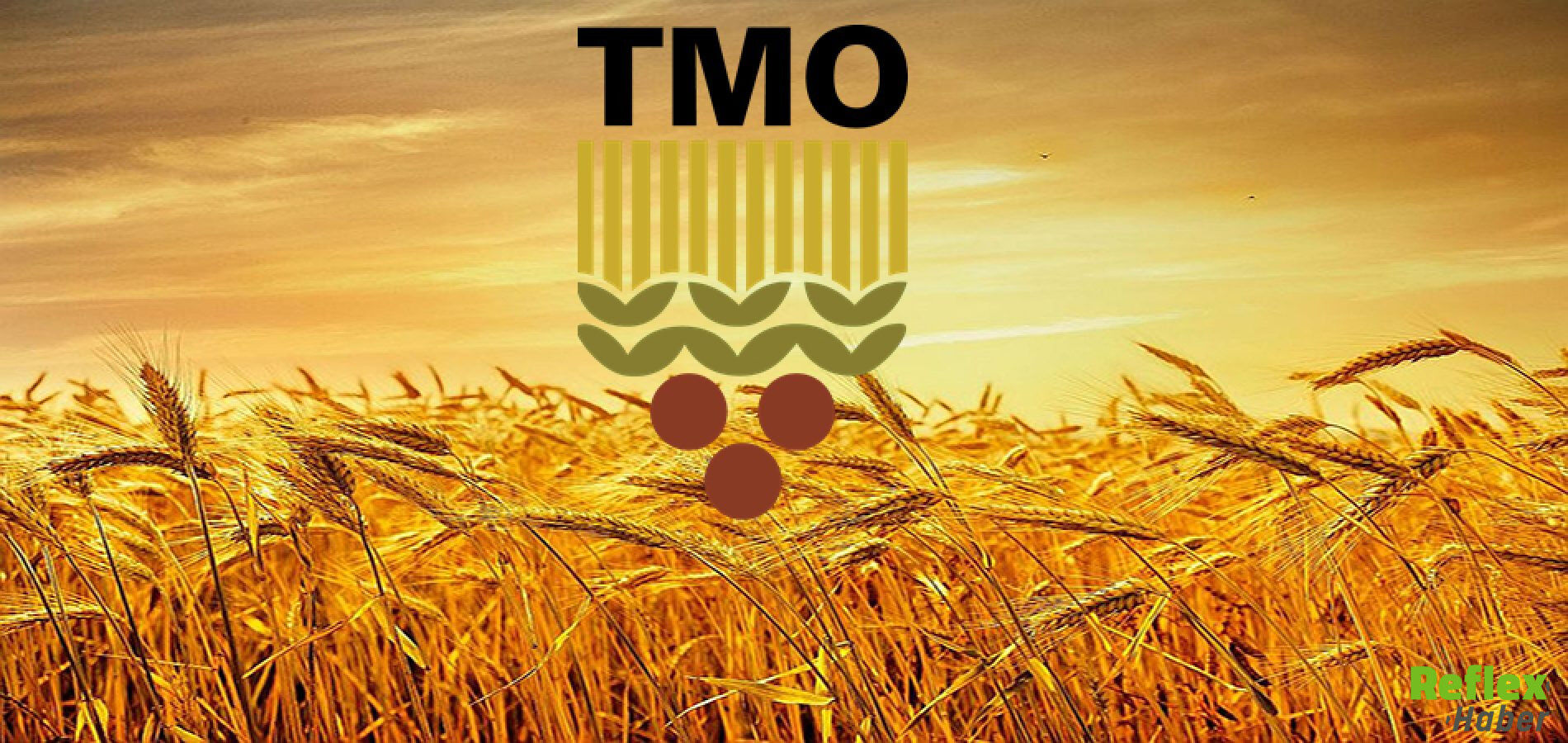 Tmo Fiyat Listesi 2026 2