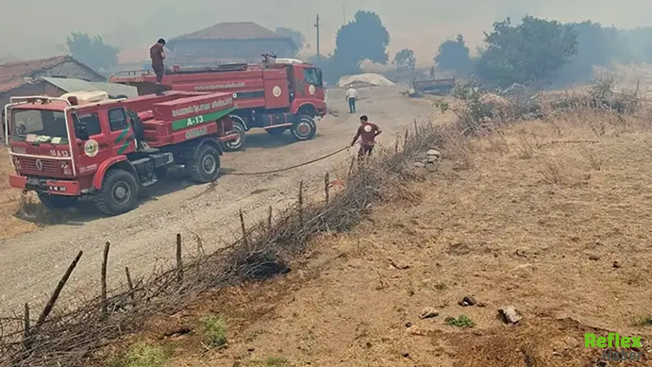 Balıkesir'de Korkutan Orman Yangını! Rüzgar Alevleri Kontrolsüz Büyüttü1