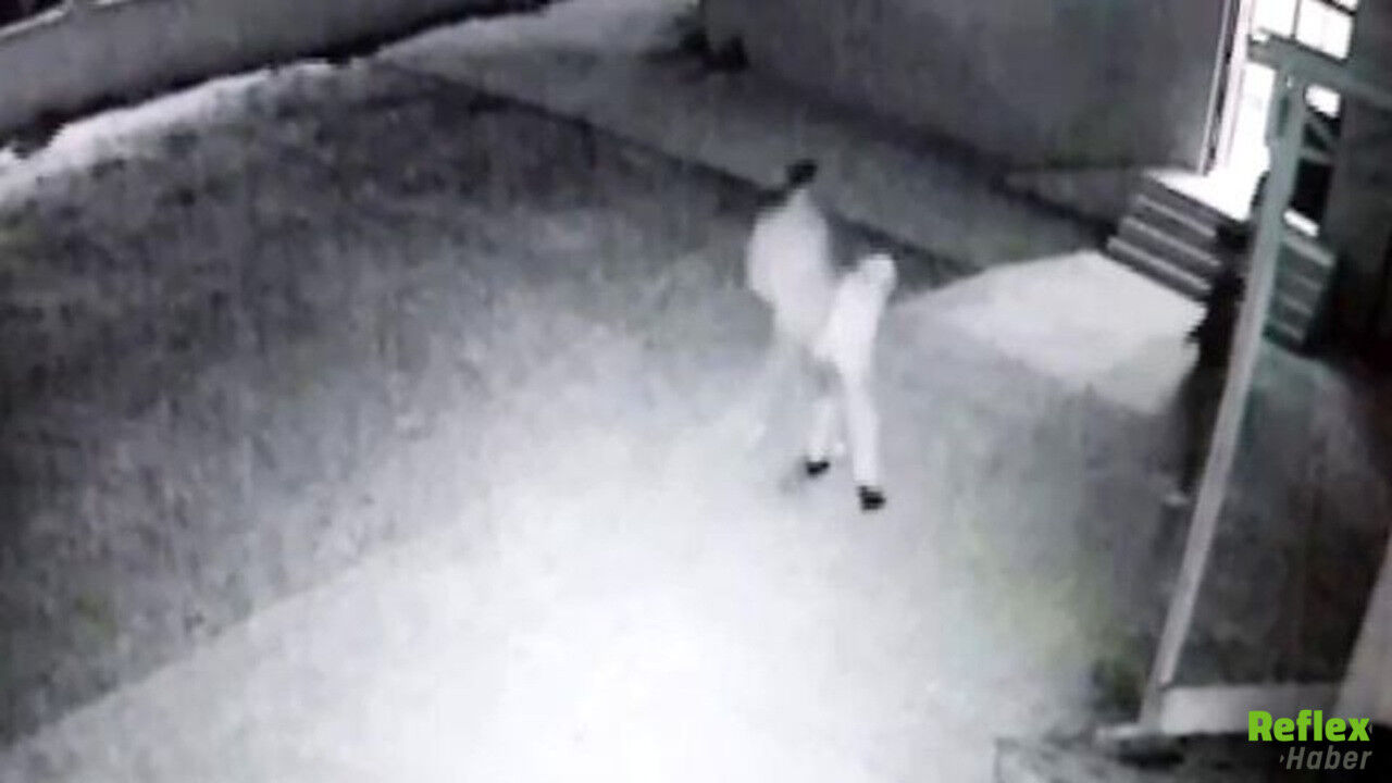 Cami Avlusunda İmama Saldırı! Defalarca Darp Edip Kolunu Isırdı1