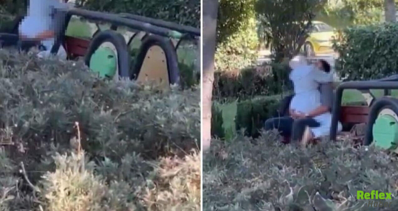 Bakırköy Parkta Uygunsuz Hareketler Yapanlar Ceza Aldı Mı